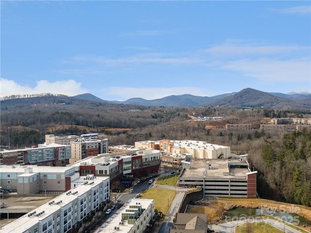 42 Schenck Pkwy Unit 109, Asheville, NC 28803 - photo 34