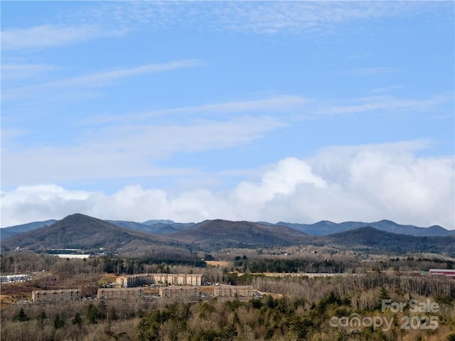 42 Schenck Pkwy Unit 109, Asheville, NC 28803 - photo 35