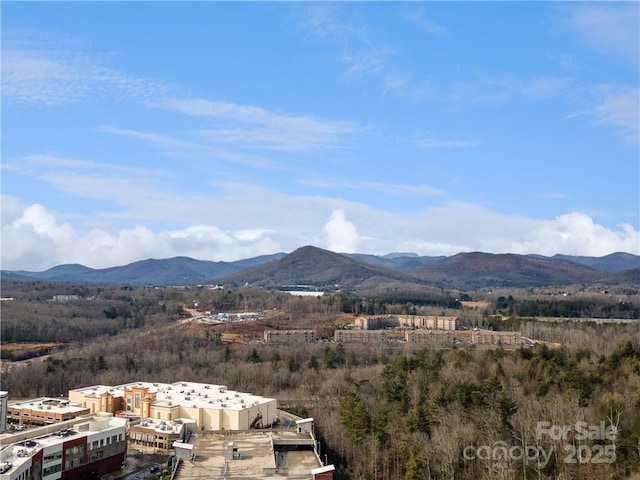 42 Schenck Pkwy Unit 109, Asheville, NC 28803 - photo 36
