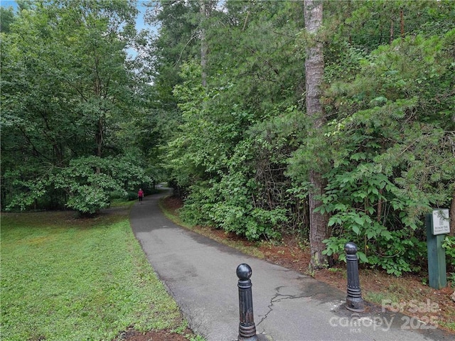 42 Schenck Pkwy Unit 109, Asheville, NC 28803 - photo 37