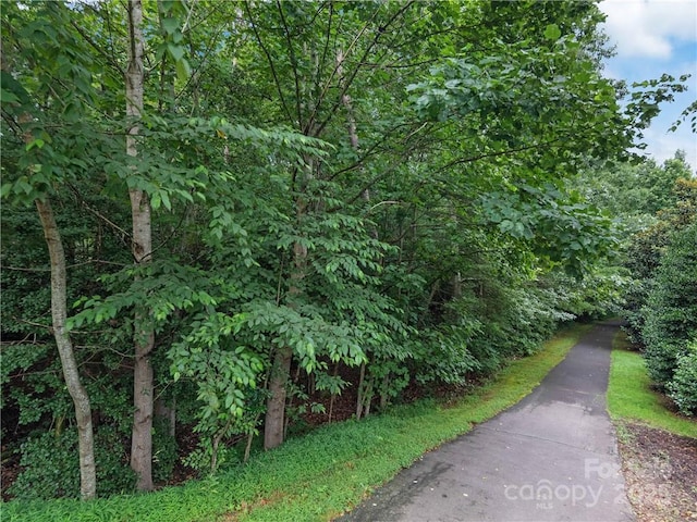 42 Schenck Pkwy Unit 109, Asheville, NC 28803 - photo 38