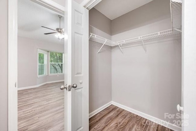 5740 Ebley Ln, Charlotte, NC 28227 - photo 14
