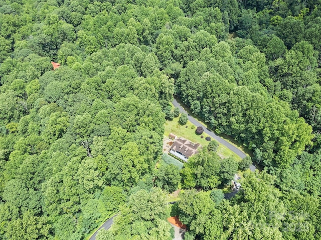 261 Serenity Dr, Waynesville, NC 28785 - photo 7