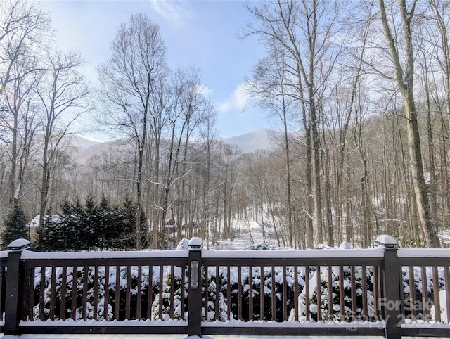 261 Serenity Dr, Waynesville, NC 28785 - photo 8