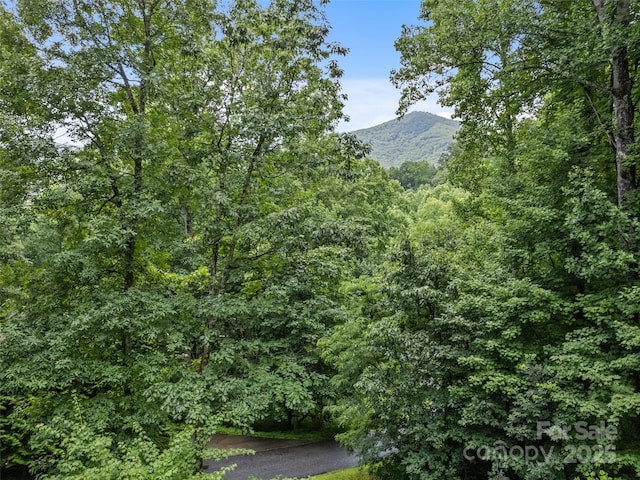 261 Serenity Dr, Waynesville, NC 28785 - photo 9