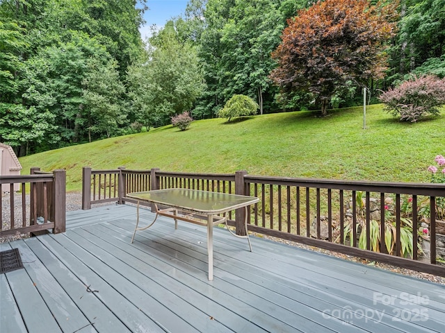 261 Serenity Dr, Waynesville, NC 28785 - photo 12