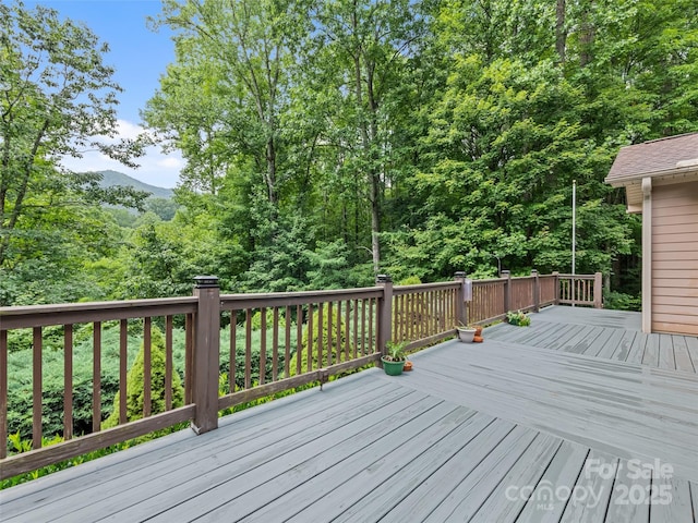 261 Serenity Dr, Waynesville, NC 28785 - photo 35