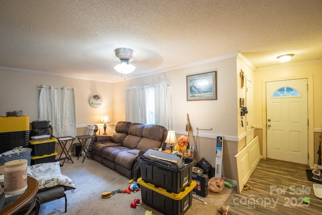 312 N Cemetary St, Old Fort, NC 28762 - photo 5