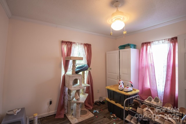 312 N Cemetary St, Old Fort, NC 28762 - photo 8