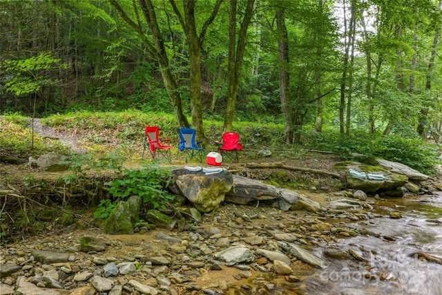 455 Laurel Creek Rd, Sugar Grove, NC 28679 - photo 3
