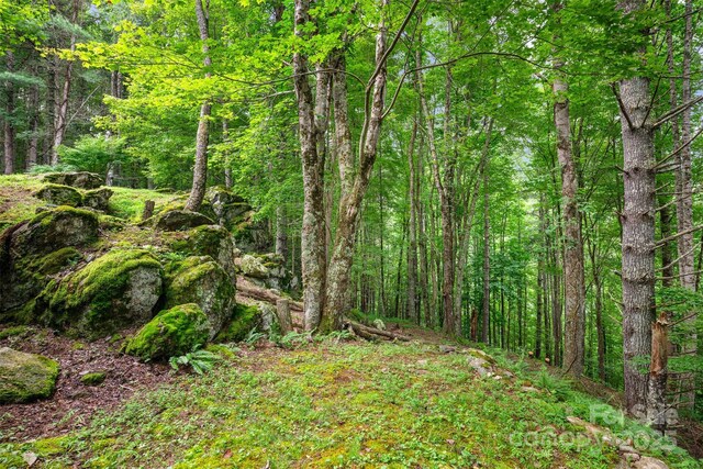 455 Laurel Creek Rd, Sugar Grove, NC 28679 - photo 39