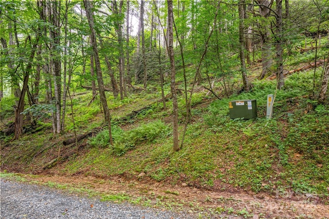 455 Laurel Creek Rd, Sugar Grove, NC 28679 - photo 41