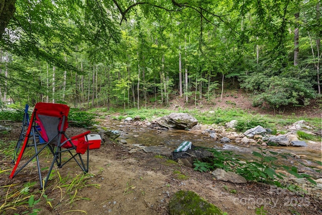 455 Laurel Creek Rd, Sugar Grove, NC 28679 - photo 44