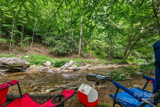 455 Laurel Creek Rd, Sugar Grove, NC 28679 - photo 45
