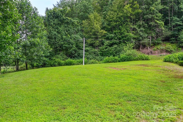 455 Laurel Creek Rd, Sugar Grove, NC 28679 - photo 46