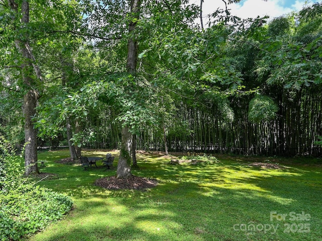 180 Rhododendron Dr, Hendersonville, NC 28739 - photo 4