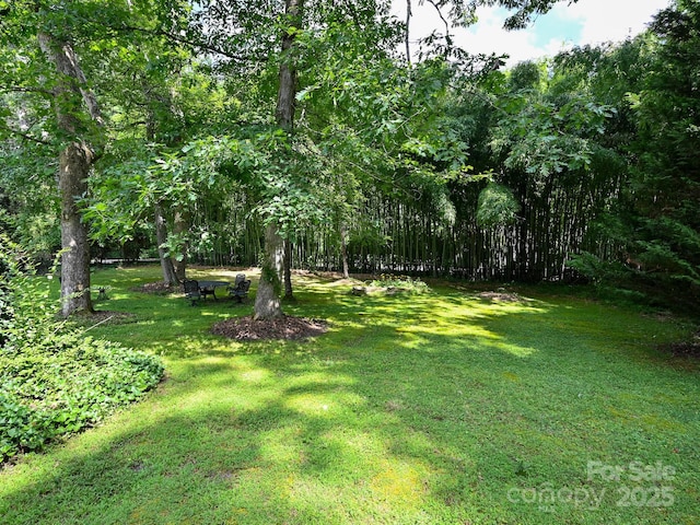 180 Rhododendron Dr, Hendersonville, NC 28739 - photo 5