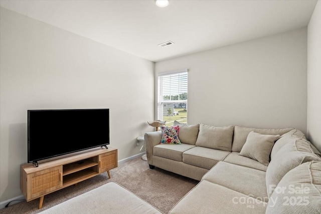 1021 Plumcrest Dr, Charlotte, NC 28216 - photo 20