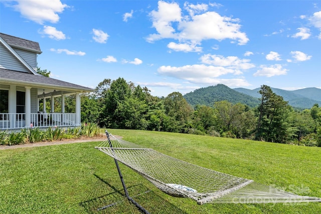 34 Anderson Rd, Weaverville, NC 28787 - photo 47
