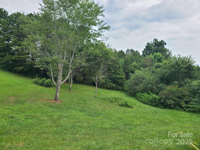 1098 Remington Dr, Conover, NC 28613 - photo 16
