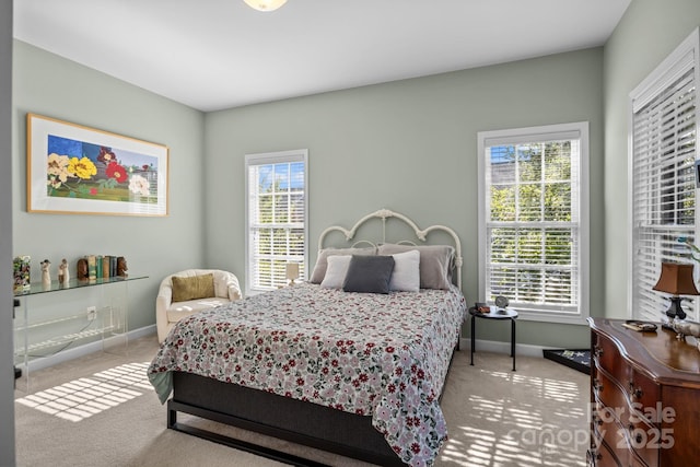 11431 Talleys Way, Cornelius, NC 28031 - photo 16