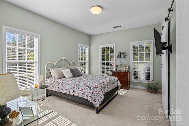 11431 Talleys Way, Cornelius, NC 28031 - photo 20