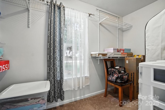 8213 Martindale Ln, Charlotte, NC 28216 - photo 18