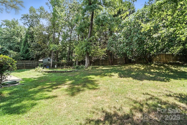 8213 Martindale Ln, Charlotte, NC 28216 - photo 24