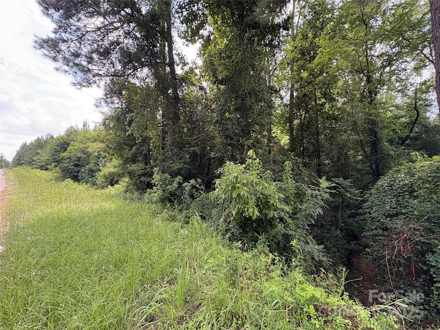0000 Jackson Rd W, Chesterfield, SC 29709 - photo 3