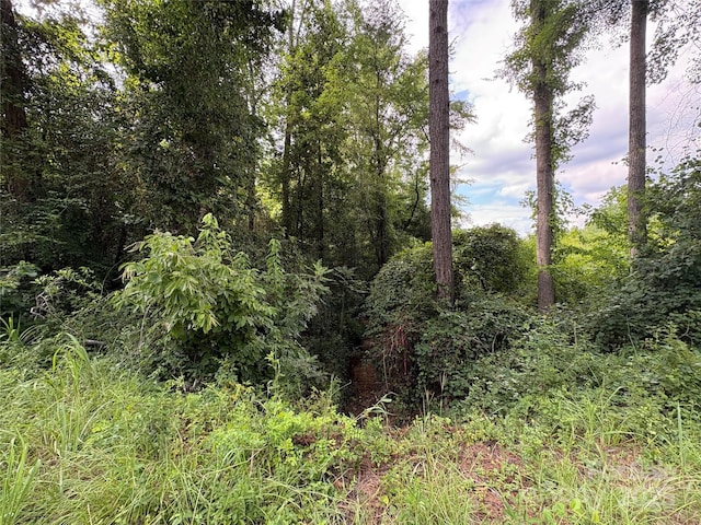 0000 Jackson Rd W, Chesterfield, SC 29709 - photo 5