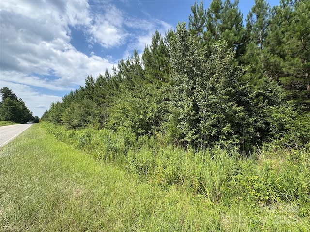 0000 Jackson Rd W, Chesterfield, SC 29709 - photo 7