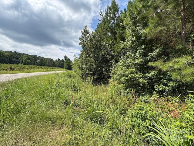 0000 Jackson Rd W, Chesterfield, SC 29709 - photo 9