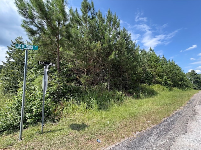 0000 Jackson Rd W, Chesterfield, SC 29709 - photo 12