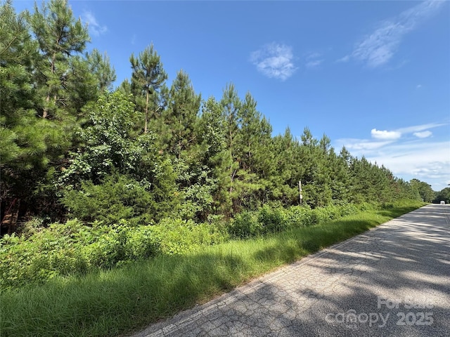 0000 Jackson Rd W, Chesterfield, SC 29709 - photo 13