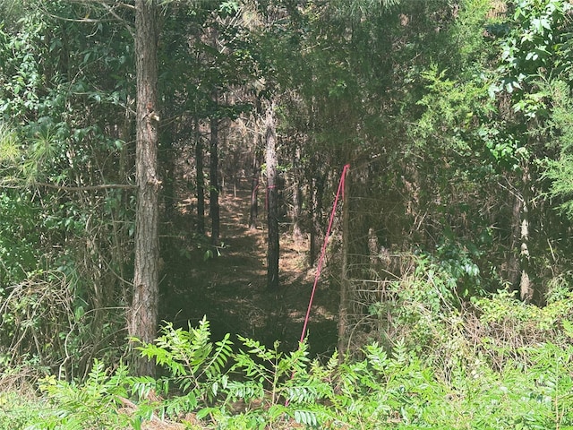 0000 Jackson Rd W, Chesterfield, SC 29709 - photo 16