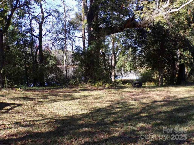 3929 Timrod Rd, Bethune, SC 29009 - photo 6