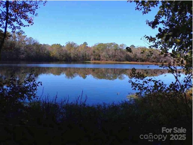 3929 Timrod Rd, Bethune, SC 29009 - photo 7