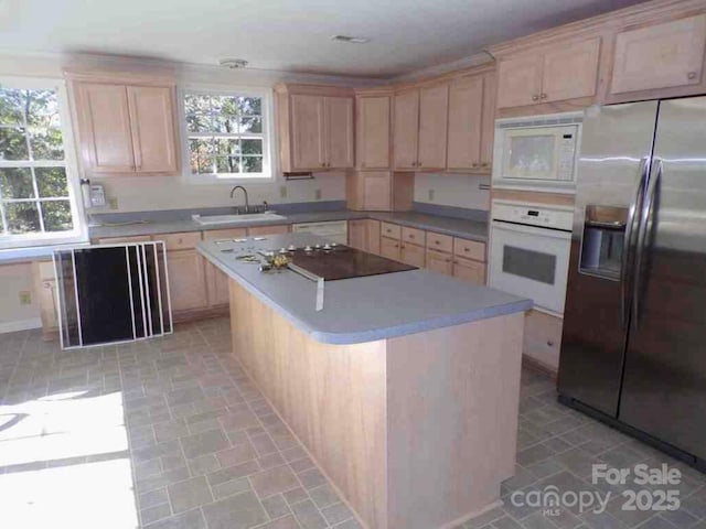 3929 Timrod Rd, Bethune, SC 29009 - photo 8