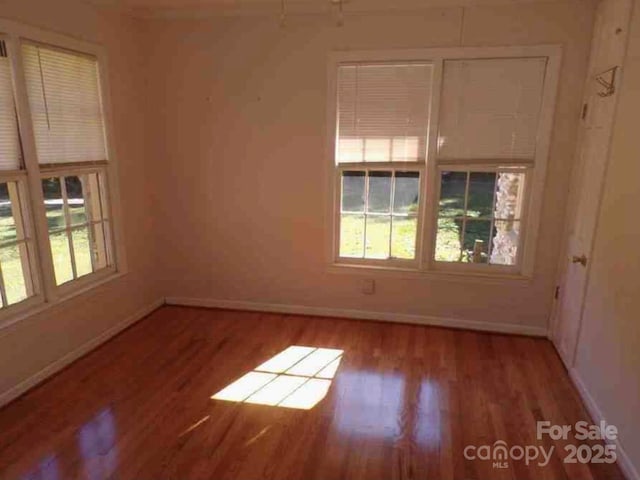 3929 Timrod Rd, Bethune, SC 29009 - photo 11