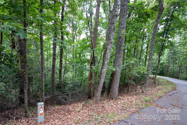 LOT97 Cedar Crest Dr Unit 97, Lenoir, NC 28645 - photo 2