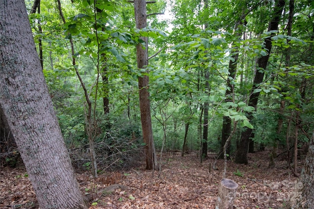 LOT97 Cedar Crest Dr Unit 97, Lenoir, NC 28645 - photo 3