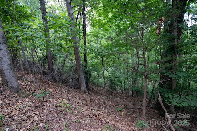 LOT97 Cedar Crest Dr Unit 97, Lenoir, NC 28645 - photo 4