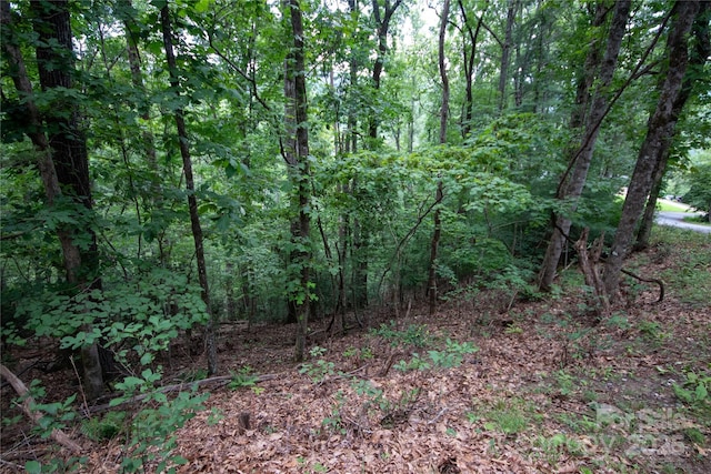 LOT97 Cedar Crest Dr Unit 97, Lenoir, NC 28645 - photo 5