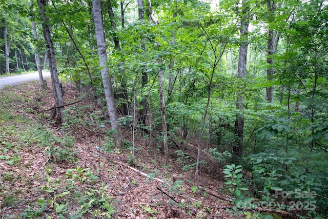 LOT97 Cedar Crest Dr Unit 97, Lenoir, NC 28645 - photo 6