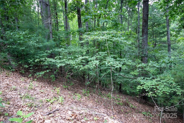 LOT97 Cedar Crest Dr Unit 97, Lenoir, NC 28645 - photo 7