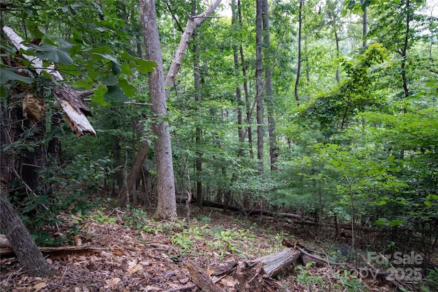 LOT97 Cedar Crest Dr Unit 97, Lenoir, NC 28645 - photo 8