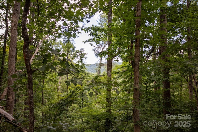 LOT97 Cedar Crest Dr Unit 97, Lenoir, NC 28645 - photo 9