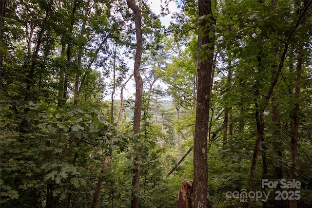 LOT97 Cedar Crest Dr Unit 97, Lenoir, NC 28645 - photo 10