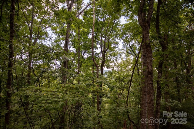 LOT97 Cedar Crest Dr Unit 97, Lenoir, NC 28645 - photo 11