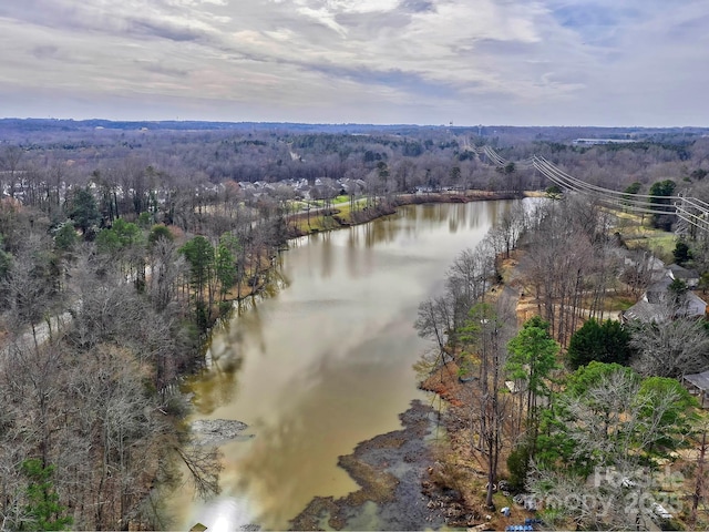 432 Lake Shore Dr, Fort Mill, SC 29715 - photo 33